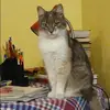 Отзыв от Римма Корнилова